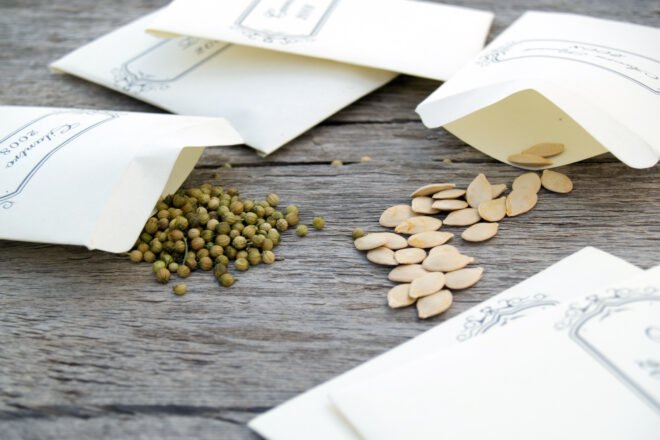 packets of seeds on wood table