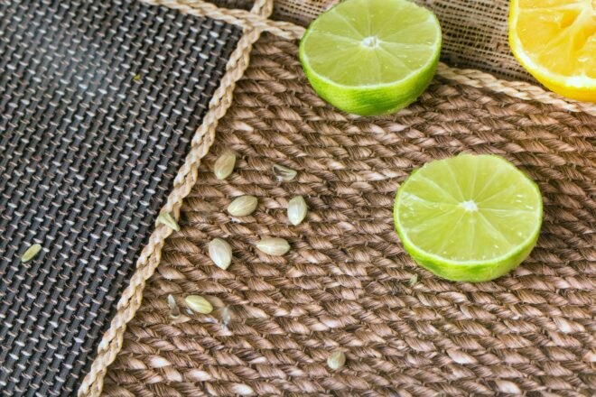 lemon and limes and their seeds on burlap