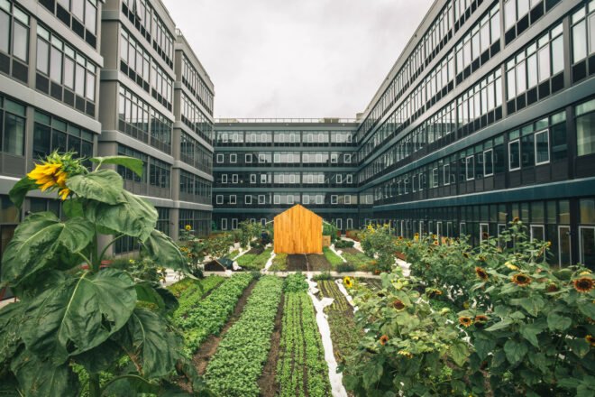 small wood shed and large gardens between tall apartment buildings