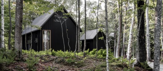 two black cabins with pitched roofs surrounded by greenery
