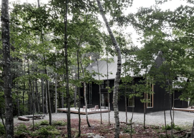 trees in foreground with wood deck in background