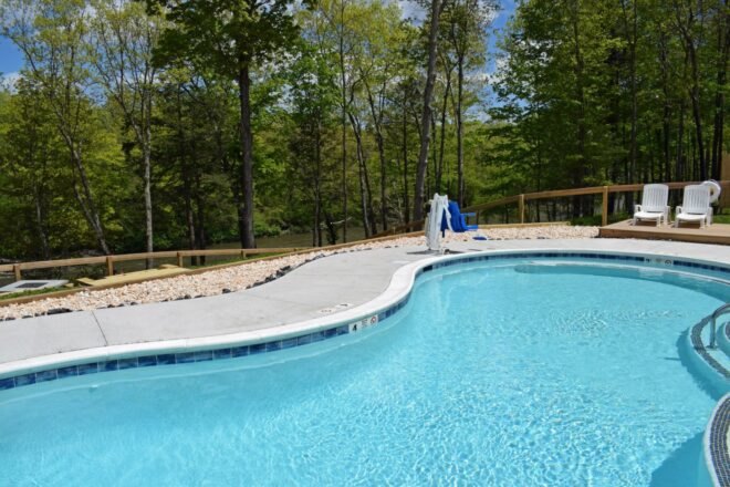 swimming pool surrounded by forest