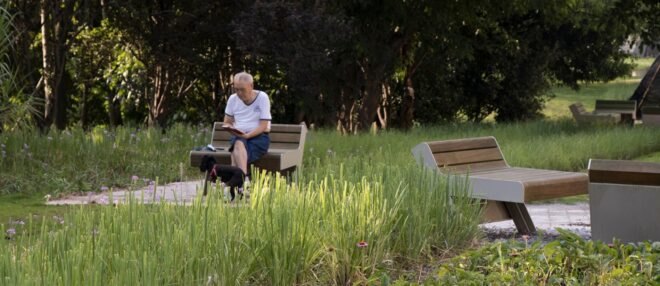 man sitting on chair in park