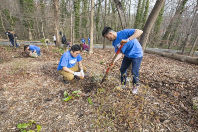 students plant trees