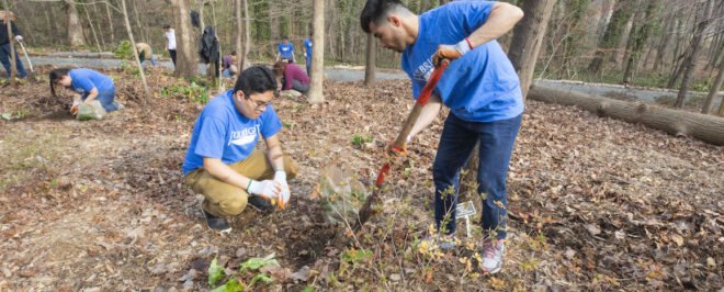 students plant trees