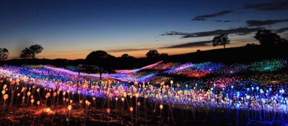 hills covered in colorful flower-like lights