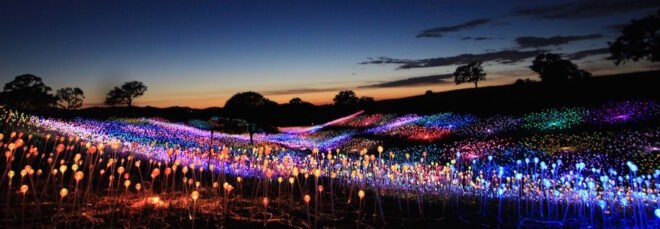 hills covered in colorful flower-like lights