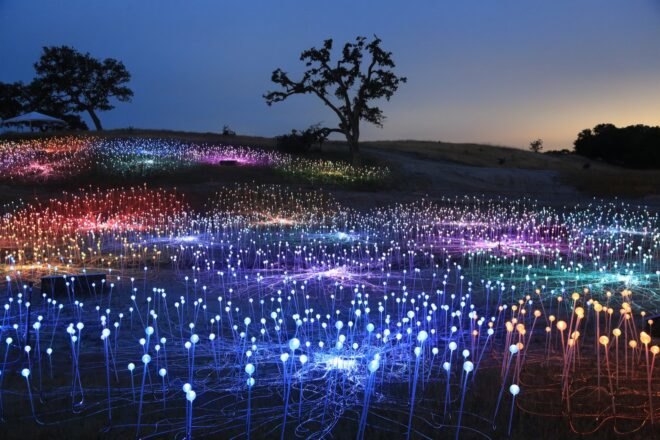 vibrant, colorful solar-powered lights at night