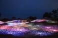 purple and pink lights covering a hill at night