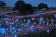 close-up of colorful solar-powered lights