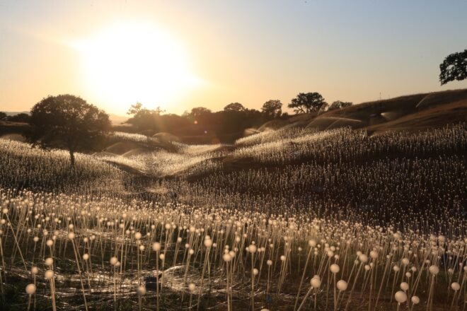 hilly landscape covered in solar-powered lights