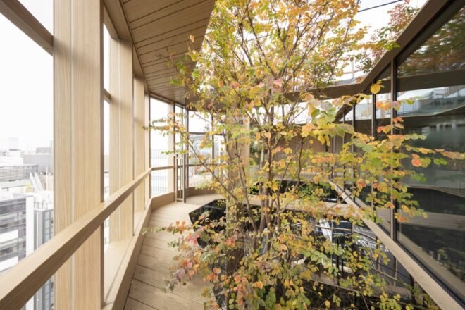 narrow wood walkway beside indoor trees