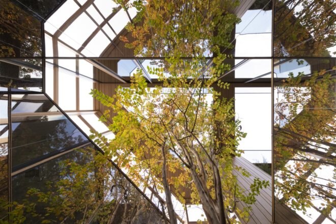 view up toward trees inside a building
