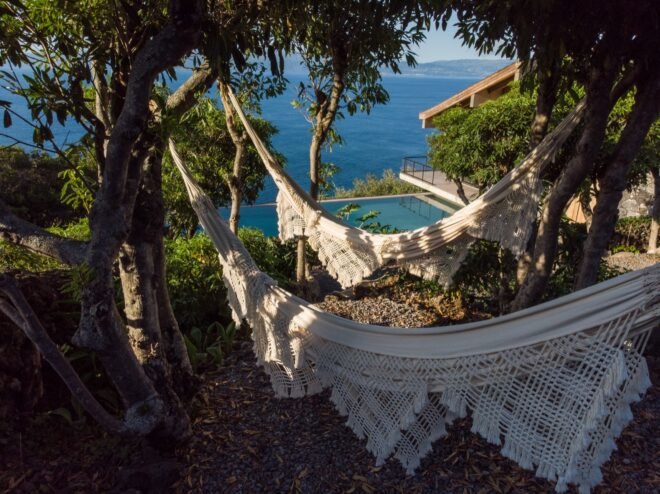 tan hammocks between trees