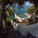 tan hammocks between trees