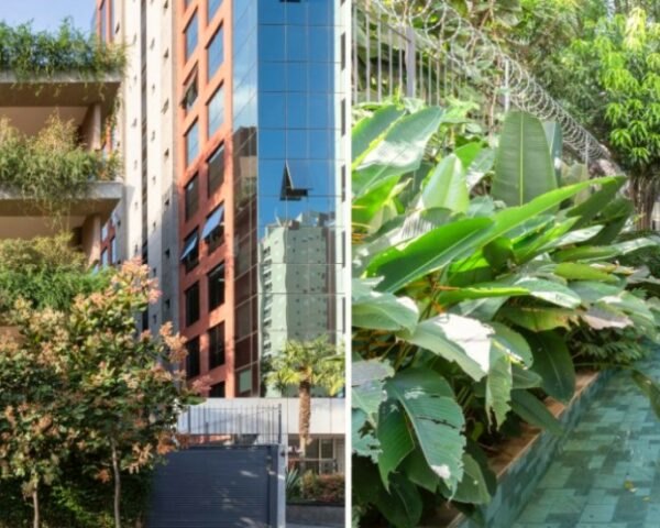 Building covered in plants