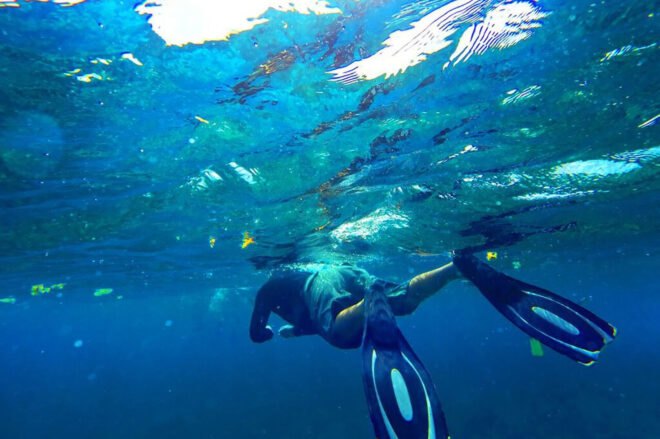 person snorkeling