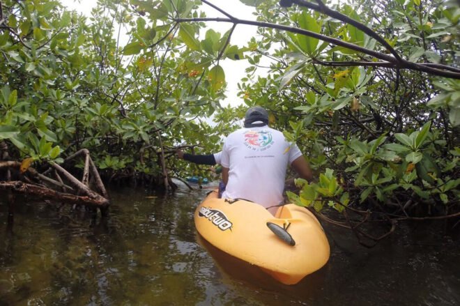 man kayaking in lagoon