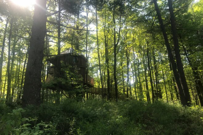 a small treehouse in Ohio is surrounded by greenery and trees