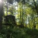 a small treehouse in Ohio is surrounded by greenery and trees