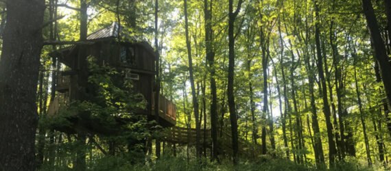 a small treehouse in Ohio is surrounded by greenery and trees