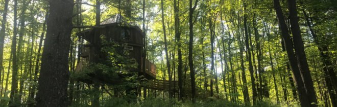 a small treehouse in Ohio is surrounded by greenery and trees
