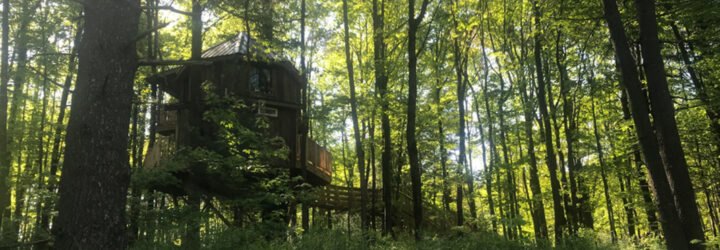 a small treehouse in Ohio is surrounded by greenery and trees