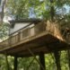 a small treehouse in Ohio is surrounded by greenery and trees
