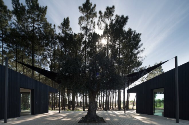 large black sun shades between two black cabins