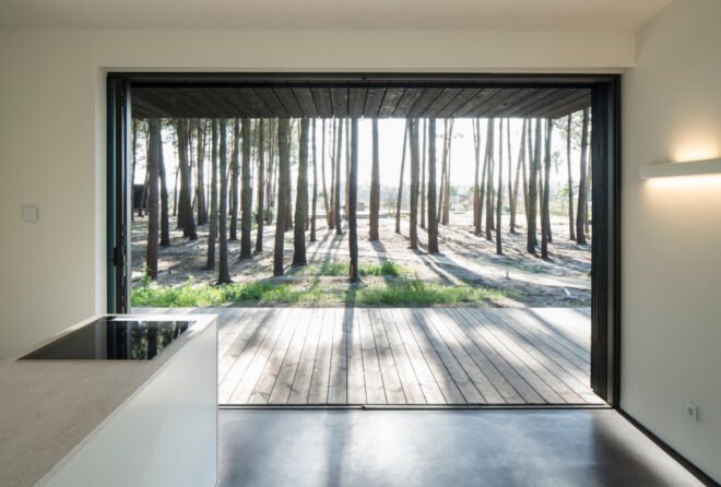 wide opening of cabin leading out to forest