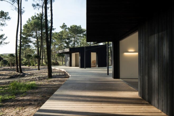 dual black cabins surrounded by trees