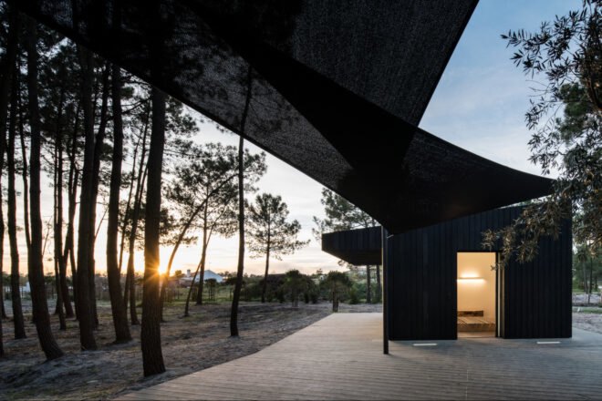 dual black cabins surrounded by trees