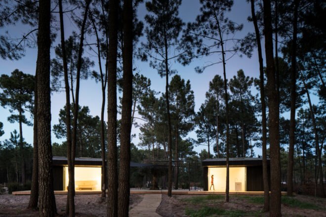 a pair of black cabins in the forest