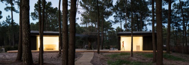 black cabin in the forest
