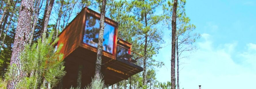 two shipping containers with large front windows in forest