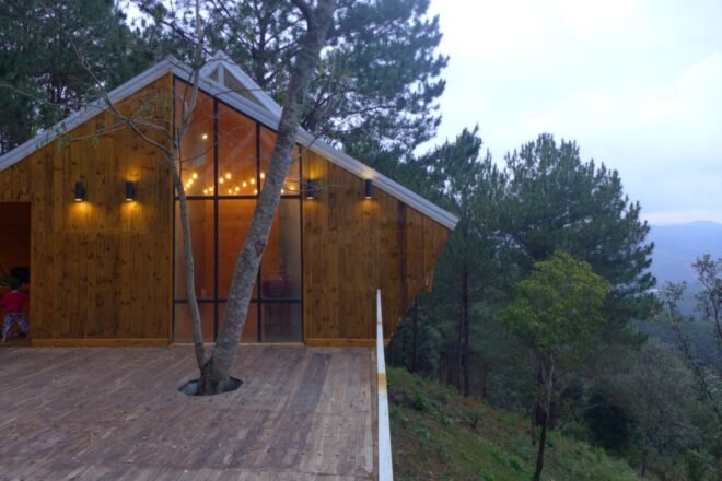 wood deck with tree growing through the middle