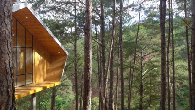wood cabin on stilts in a forest