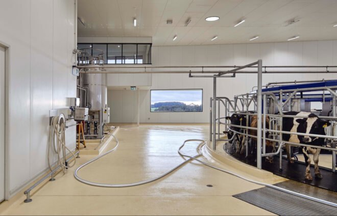 interior of dairy creamery