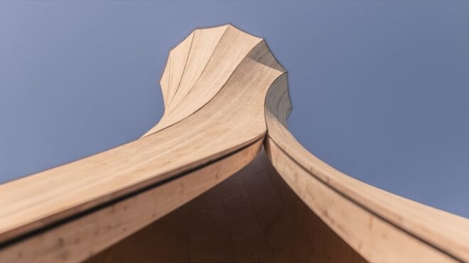 worm's eye view of twisted wood sculpture
