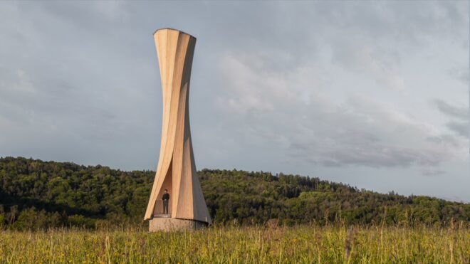 person standing inside twisted wood structure