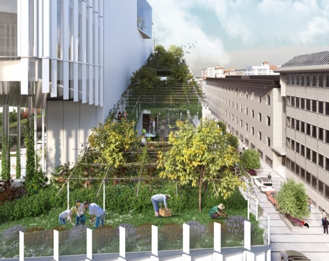 sloped garden on the side of a building