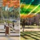 a park area with colorful shading canopy
