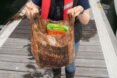 person holding old biodegradable plastic bag stuffed with groceries