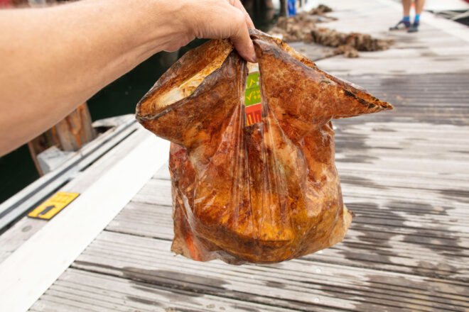 person holding old biodegradable plastic bag stuffed with groceries