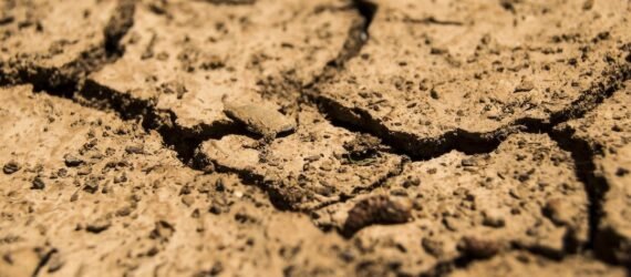 dried, cracked topsoil