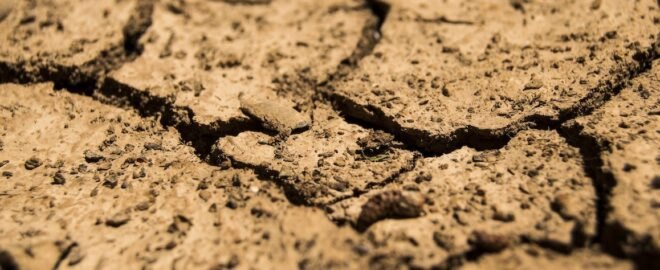 dried, cracked topsoil