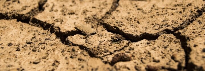 dried, cracked topsoil