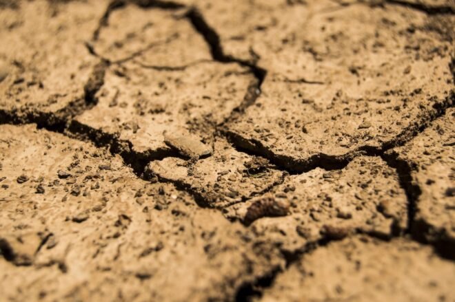 dried, cracked topsoil