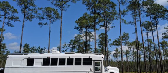 white bus parked on a street