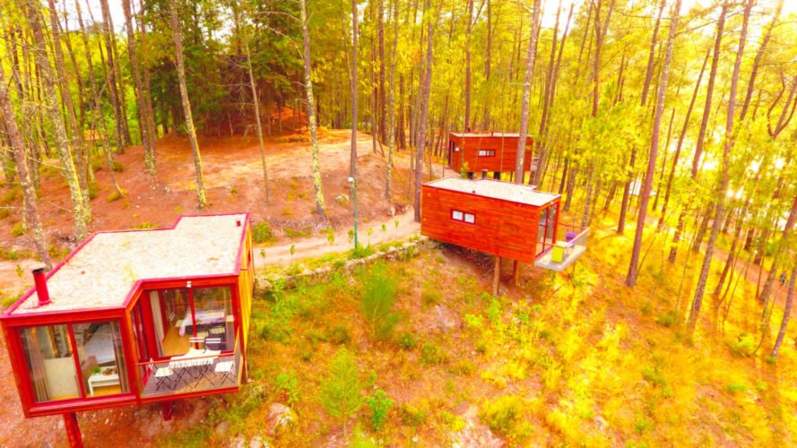aerial view of three shipping containers in a dense forest